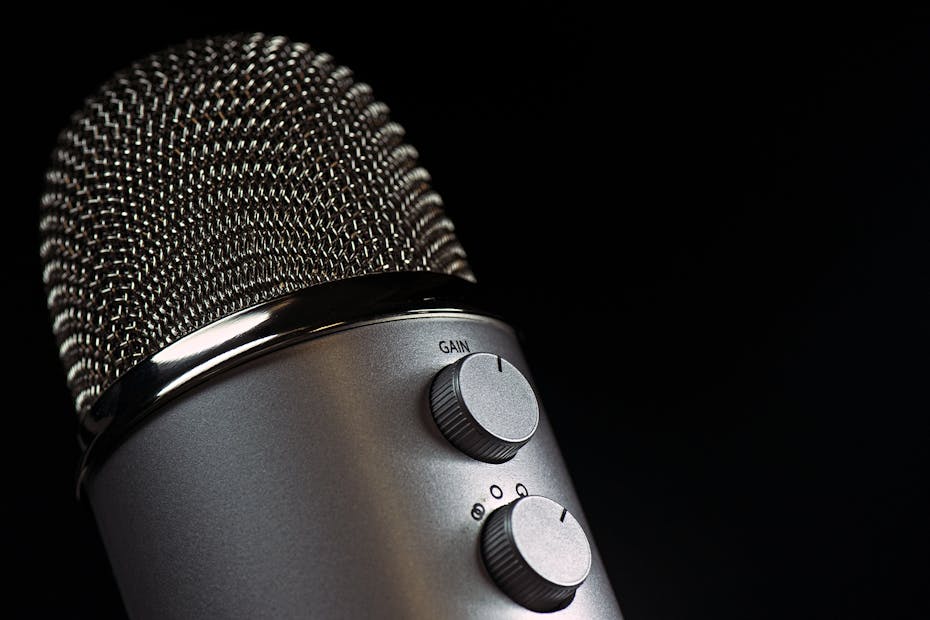 Grey Condencer Microphone