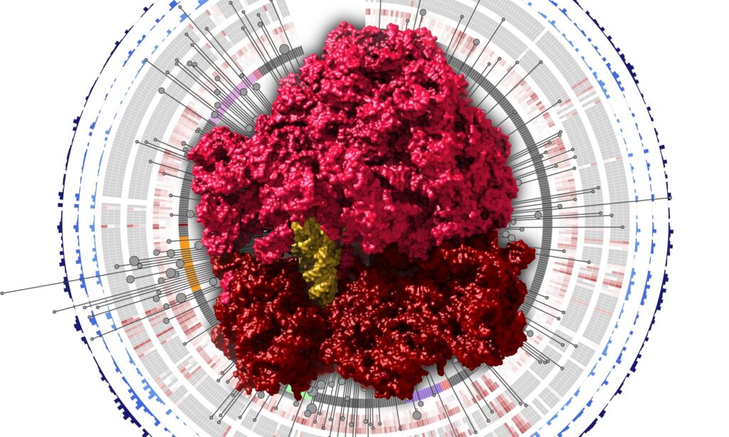 A ribosome in front of a graphical representation of the GARNET database.